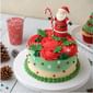 Christmas Cake Santa Roses