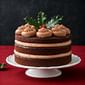 Christmas Cake Chocolate Cake