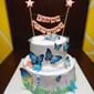 Butterfly Theme Cake