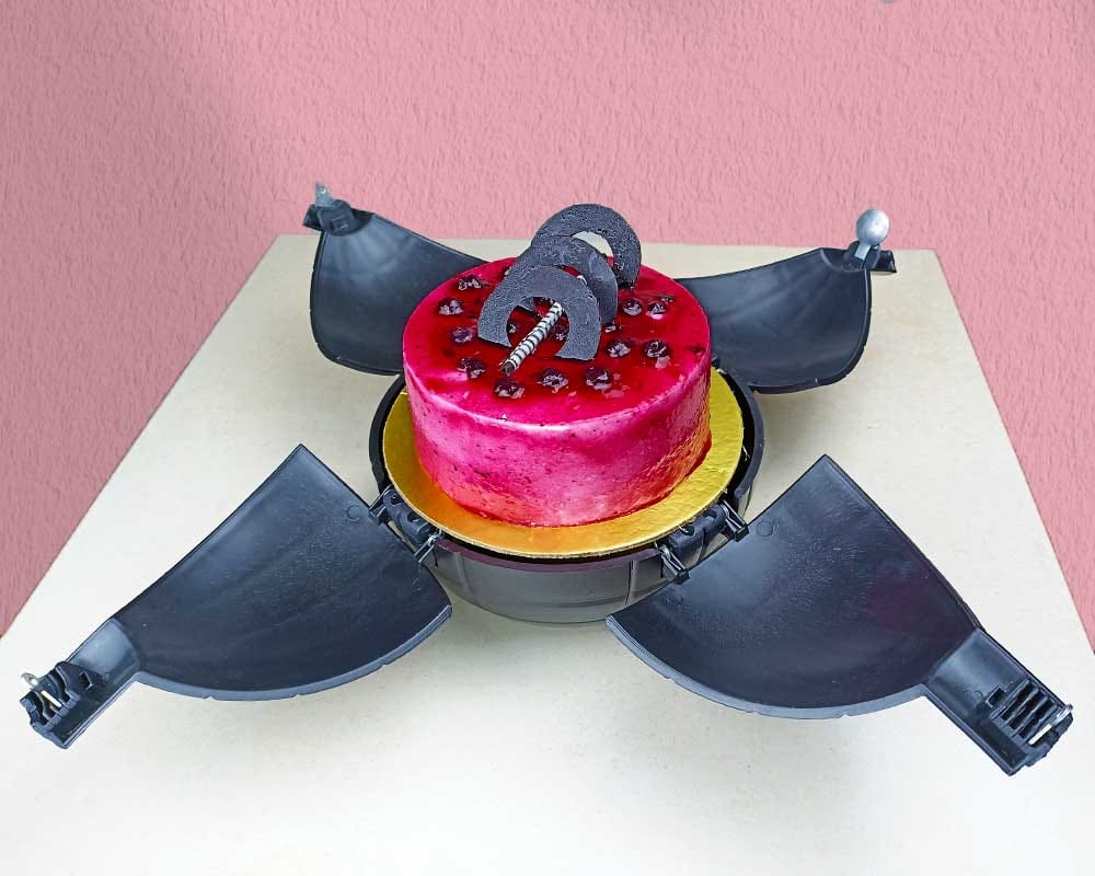 Blueberry Bomb cake