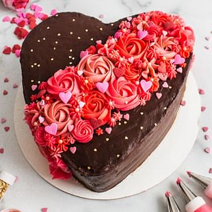 Choco Delight Cake